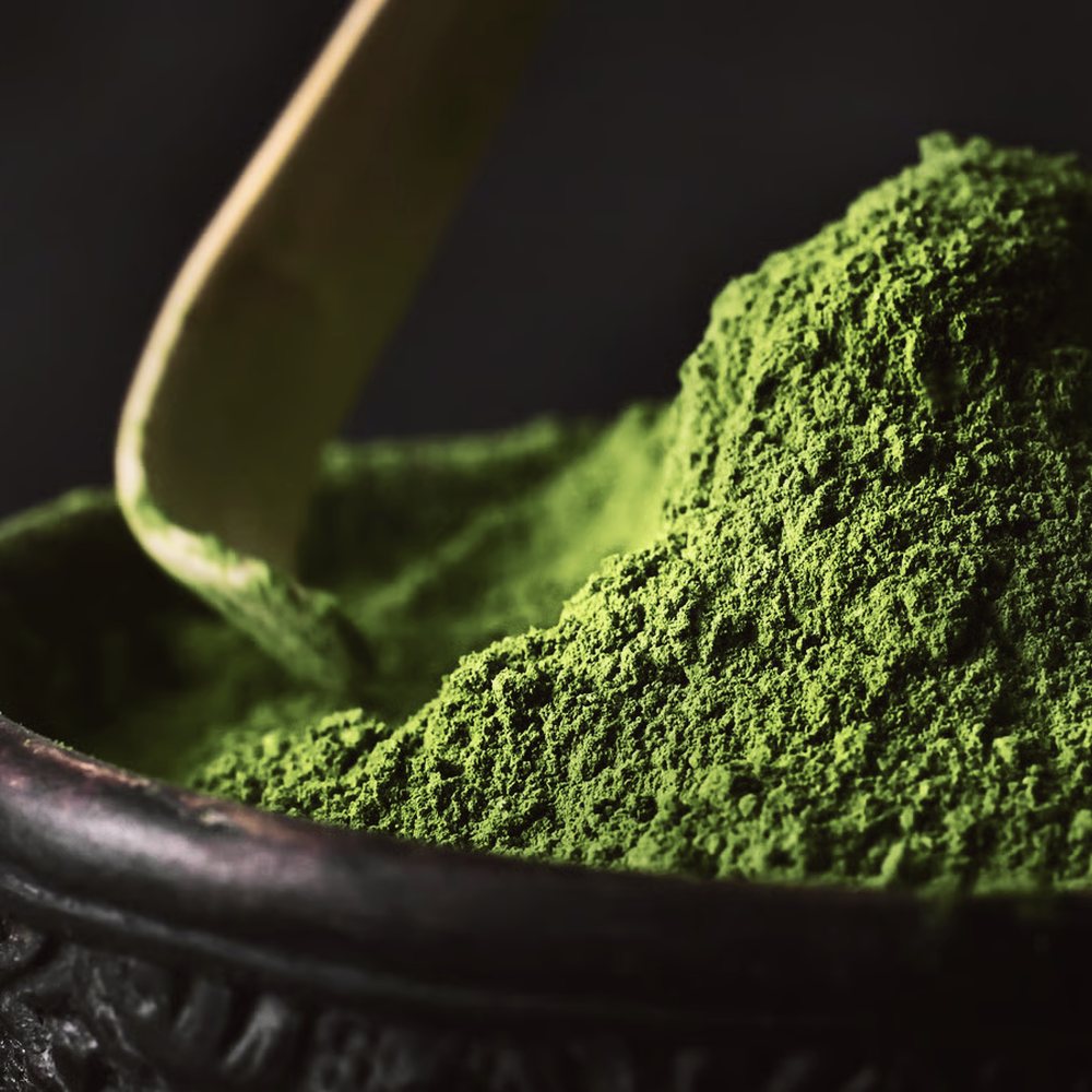 Matcha being scooped from the bowl.